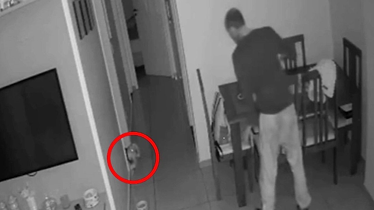 Video: Fearless dog scares nighttime intruder out of apartment in Brazil