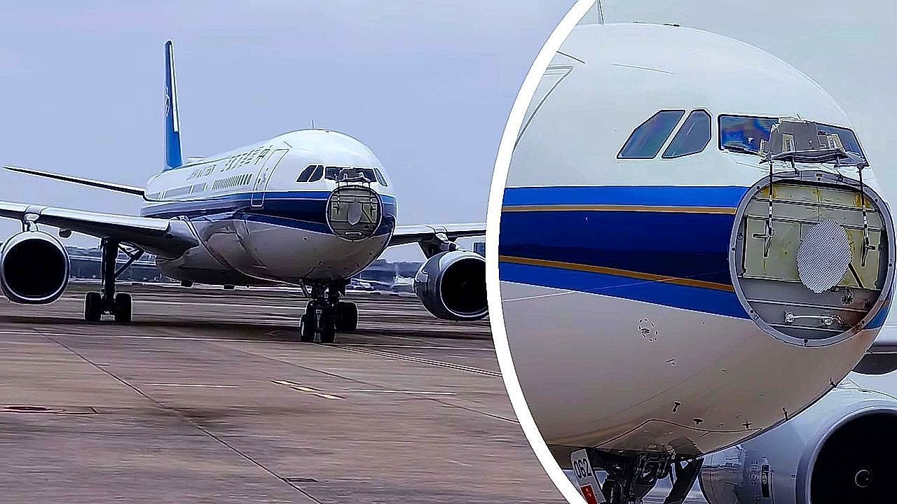 Video: Mid-air bird incident forces emergency return after aircraft damage