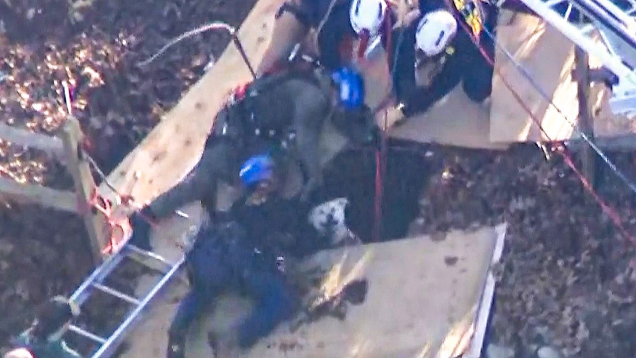 Video: Plötzlich vom Erdboden verschluckt: Feuerwehr rettet Hund aus Senkloch