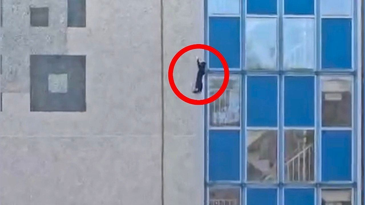 Video: 'Spider-Cat' pulls off daring climb outside building  