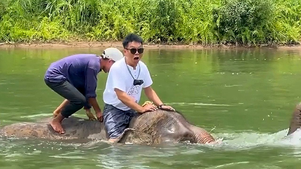 Video: Unfreiwilliges Bad: Elefant taucht mit Touristen mitten im Fluss ab