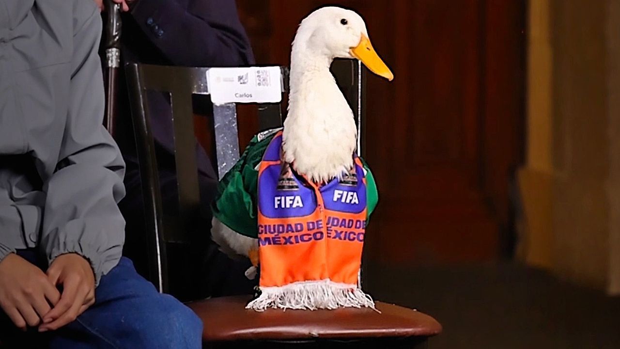Video: Quak-Karriere: Ente Merlin wird WM-Botschafter von Mexiko-Stadt