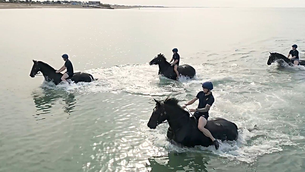 Video: Household Cavalry horses charge into the sea during beach training in England