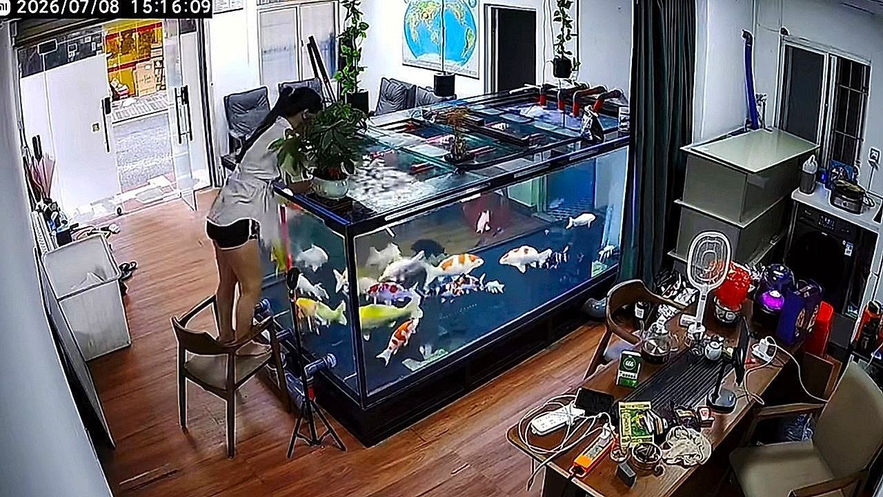 Video: Woman climbs into aquarium in a heartbeat to retrieve dropped phone