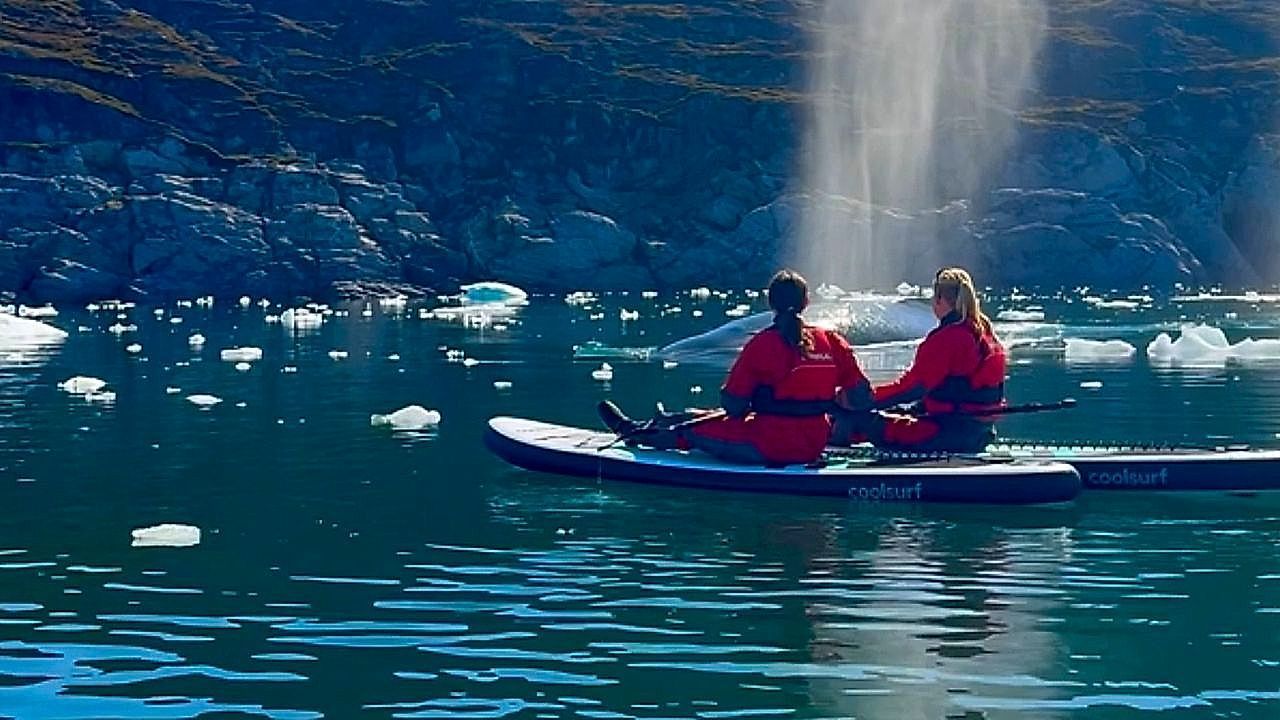 Video: Atemberaubend nah: Wal überrascht Paddler vor Grönlands Küste