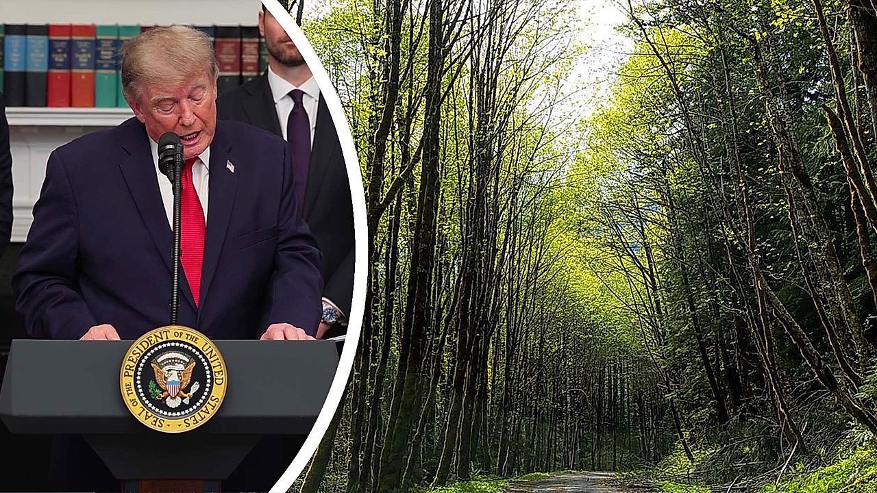 Video: Trump moves to repeal 25-year-old rule protecting 45 million acres of national forests