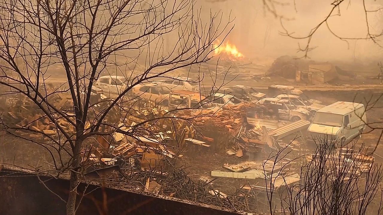Video: Schwere Waldbrände in Algerien: Feuer fordern mindestens zwölf Tote