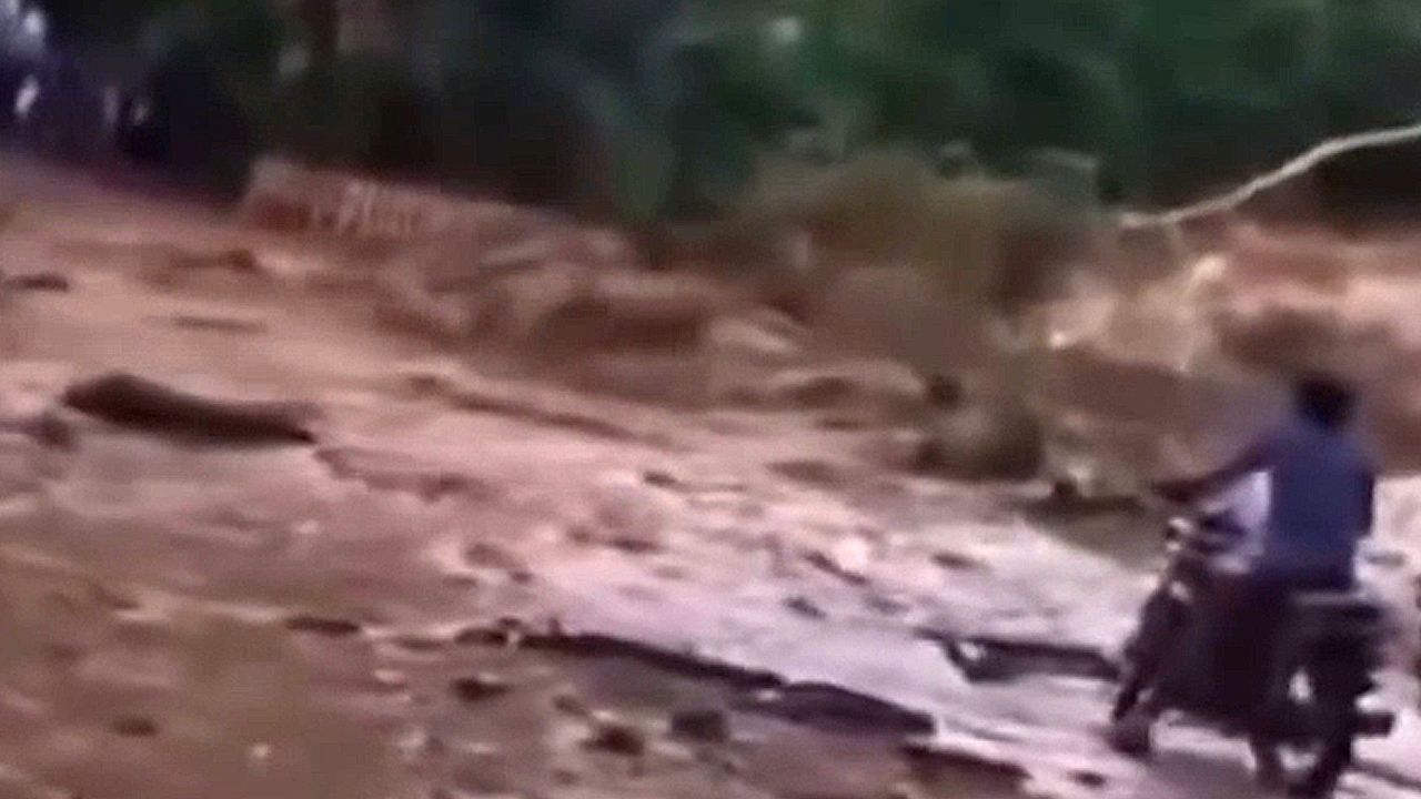 Video: Plötzlich läuft der Fluss über: Reißende Schlammflut überschwemmt Straßen