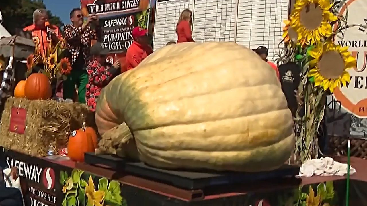 Video: Über eine Tonne schwer: Kürbis „Rocky“ gewinnt Weltmeisterschaft in Half Moon Bay