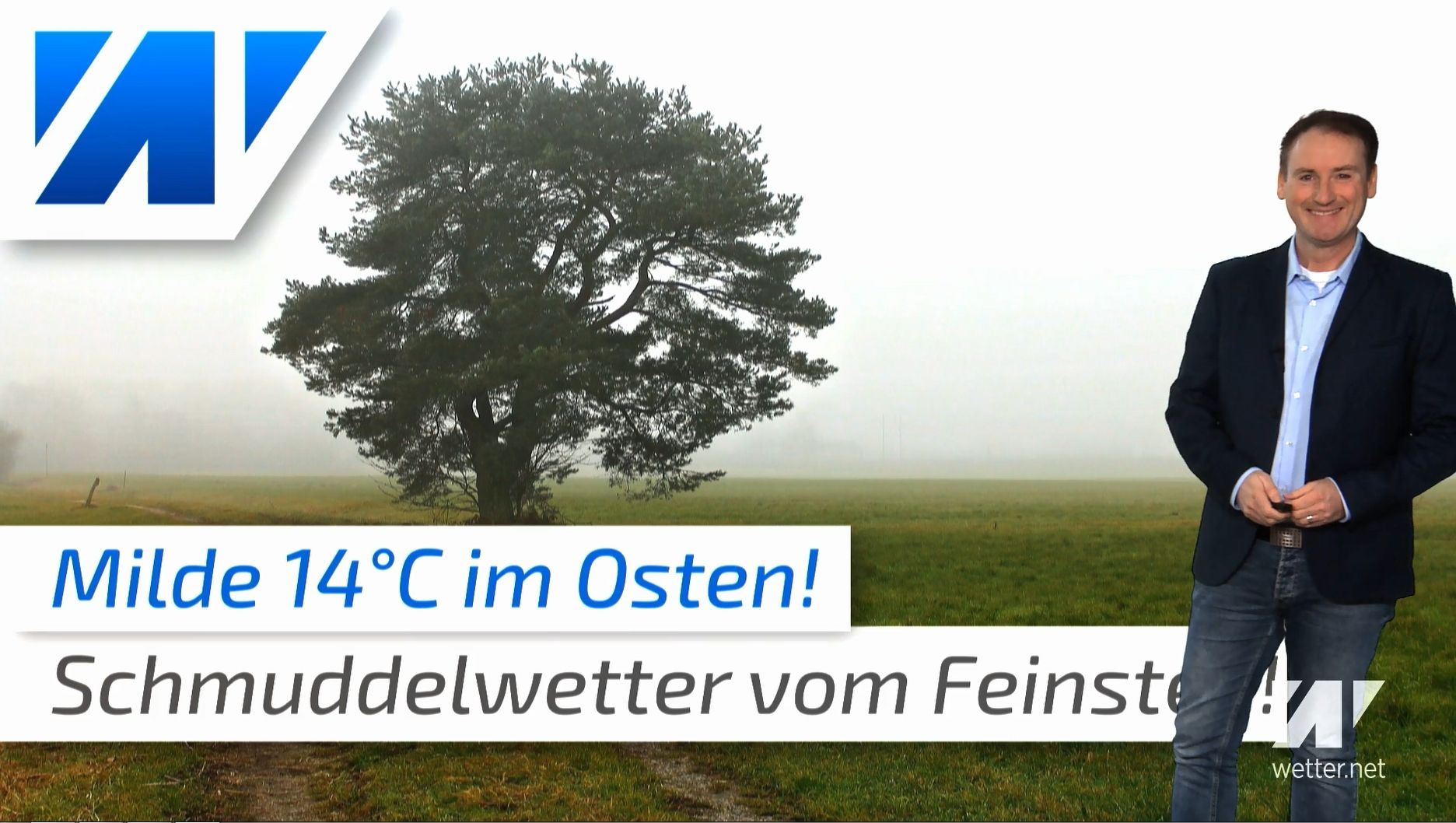 14°C im November: Schmuddelwetter vom Feinsten!