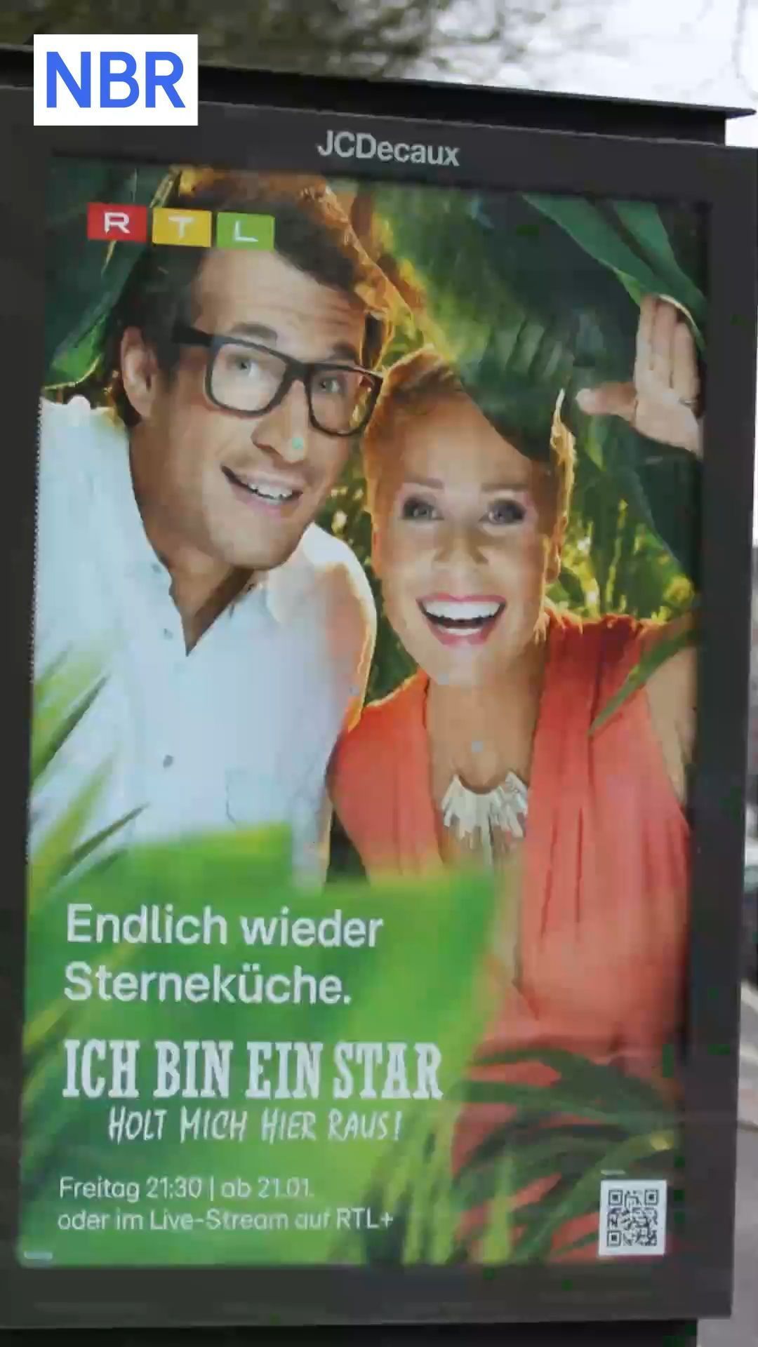 Dschungelcamp on RTL: All winners of the reality TV show