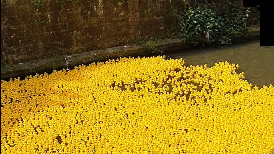 Video: Großes Entenrennen in Esslingen