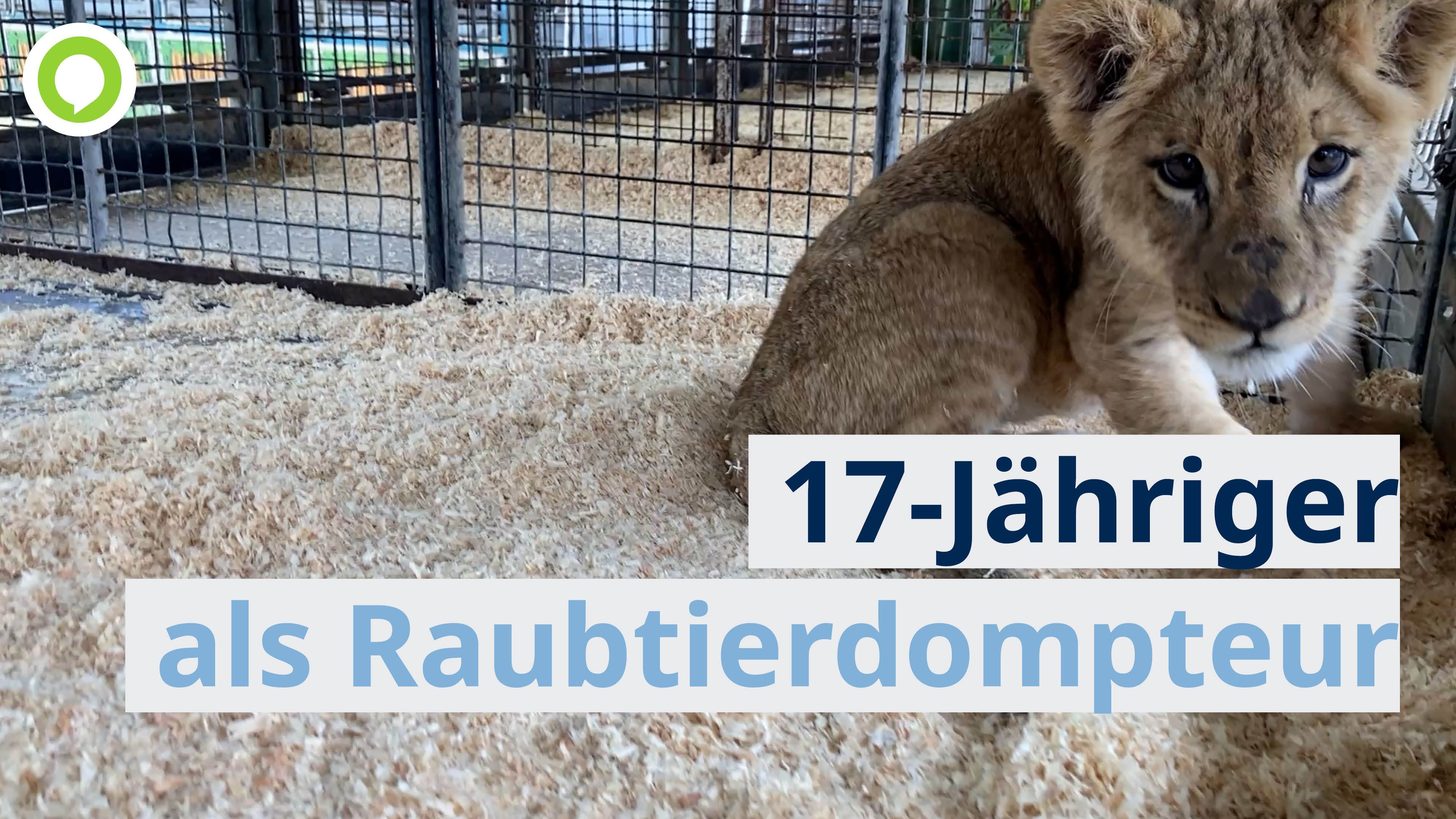 17-Jähriger ist Raubtierdompteur bei Circus Krone