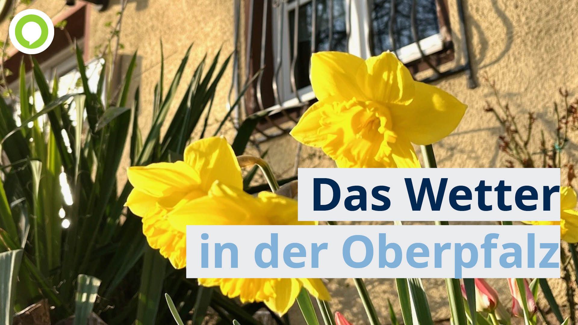 Video: OWetter: Wüstengrüße und Frühlingswonne