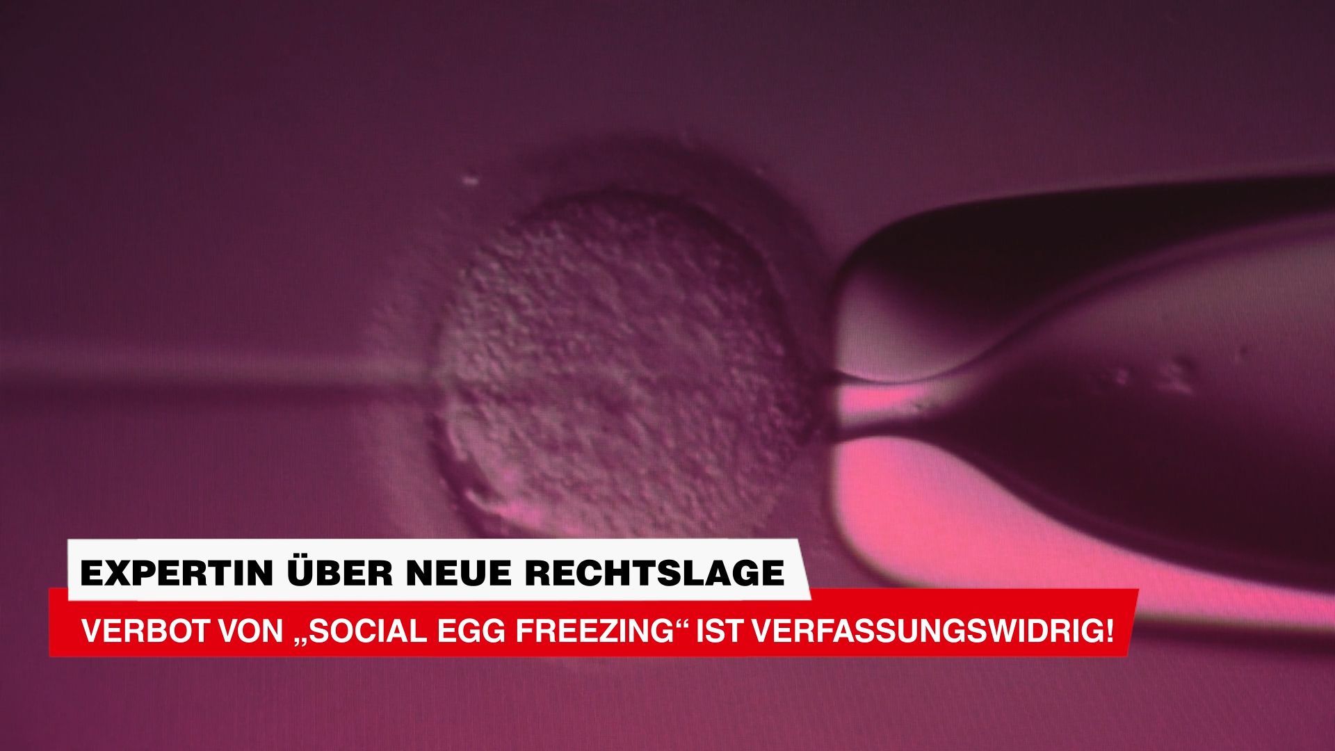 Court overturns ban - Women allowed to freeze eggs – but not until 2027