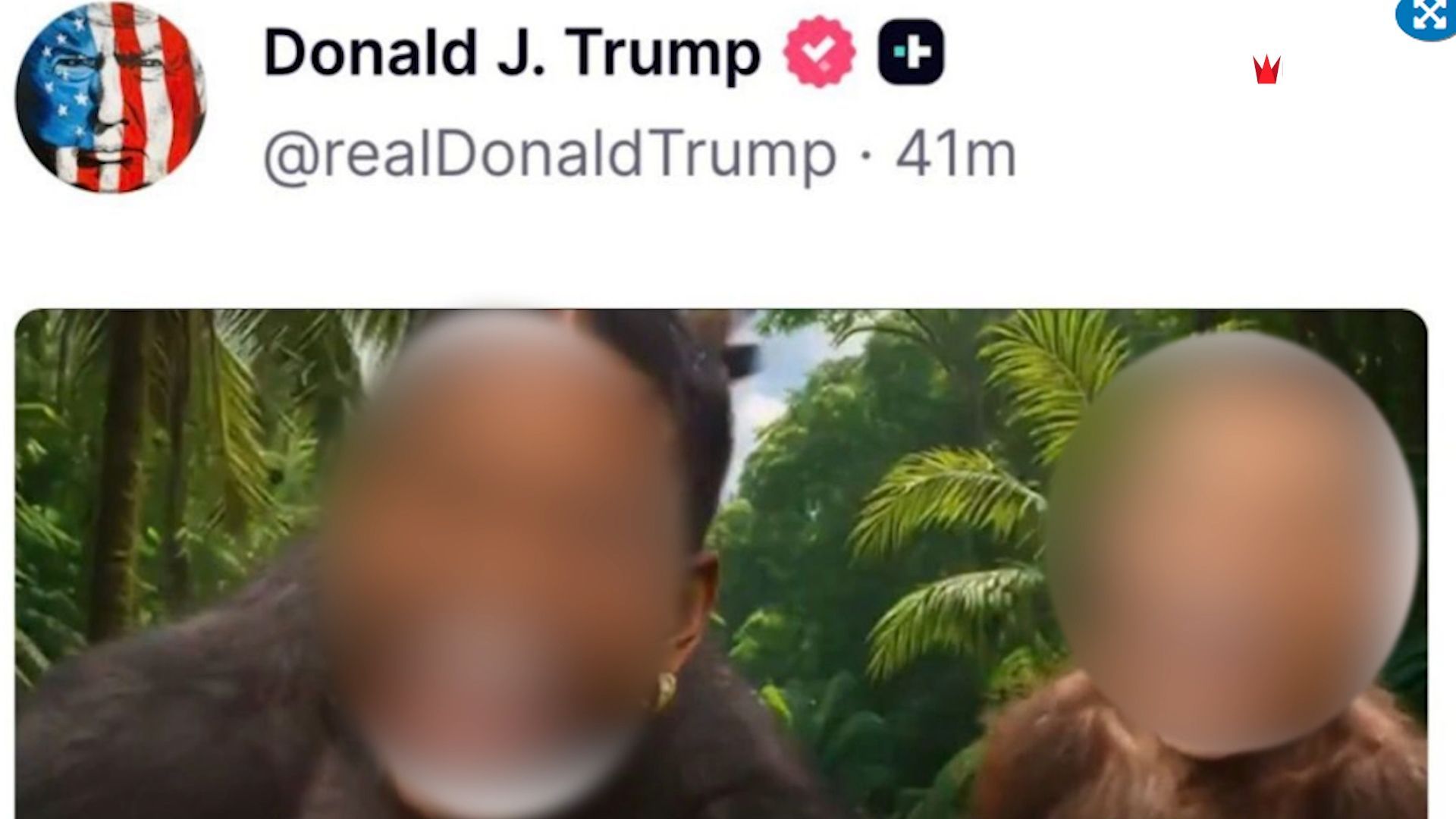 Obama äußert sich erstmals zu Trumps „Affenvideo“