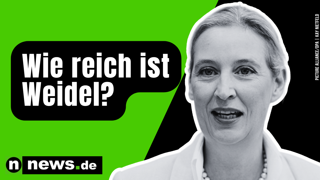 Video: So wohlhabend ist Alice Weidel