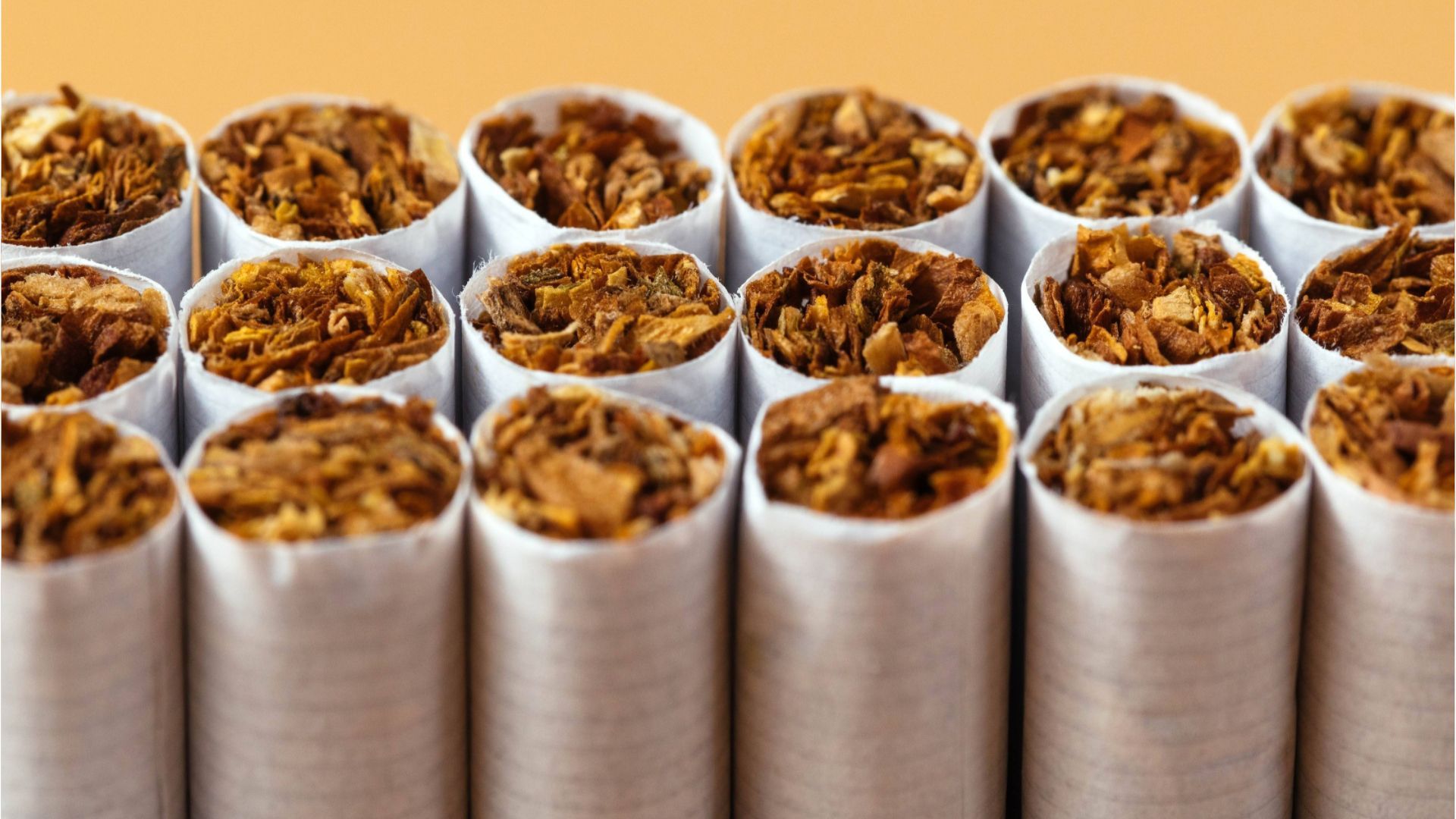 Zahl der Tabaknutzer sinkt weltweit - Europa Sorgenkind