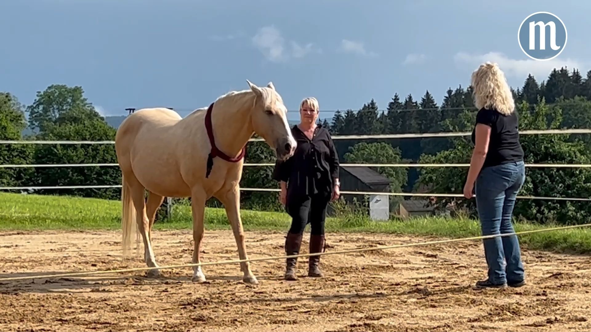 Claudia Friederich tanzt mit ihrem Pferd Albero