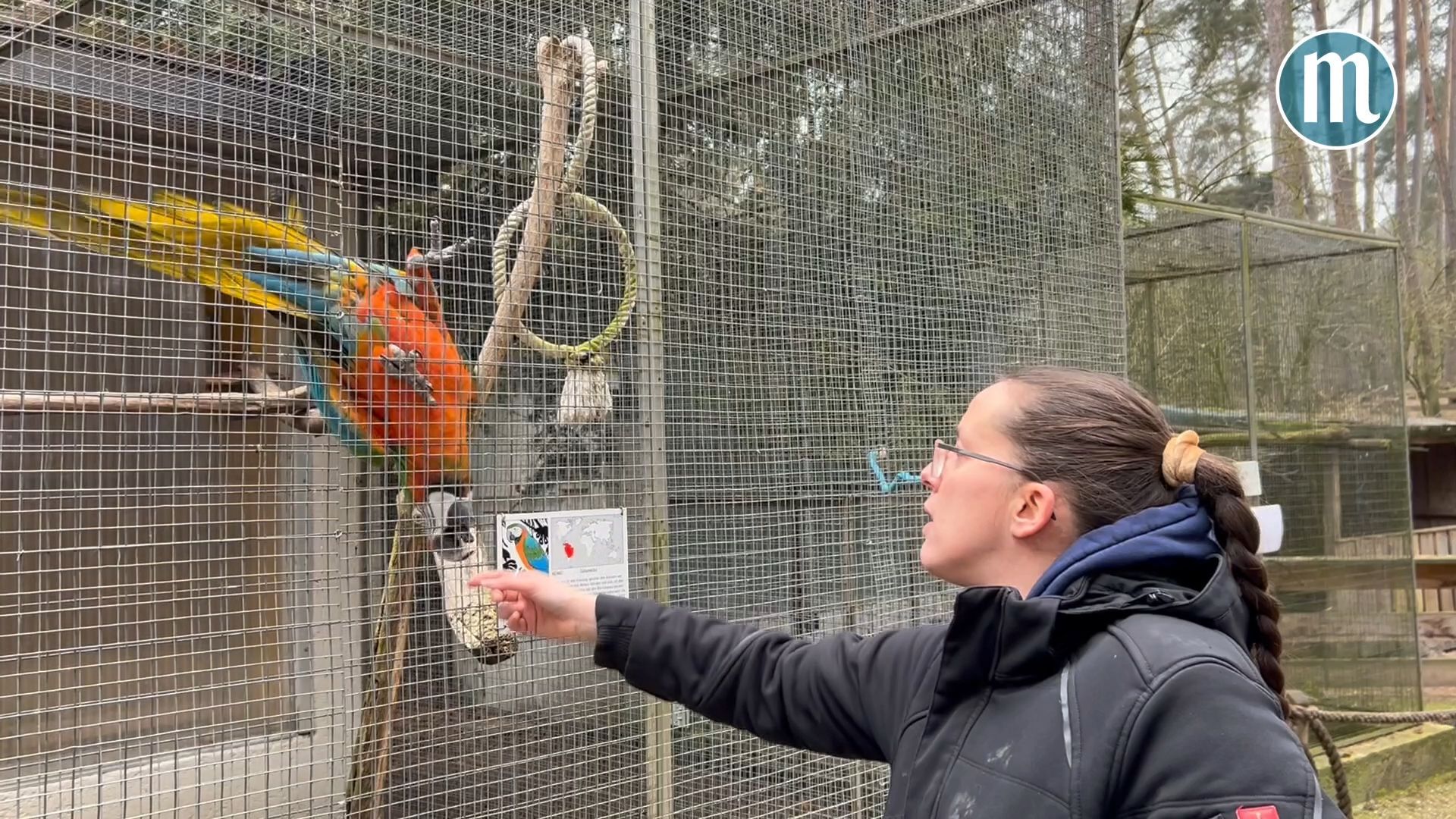 300 Tiere leben im Vogelpark in Abensberg