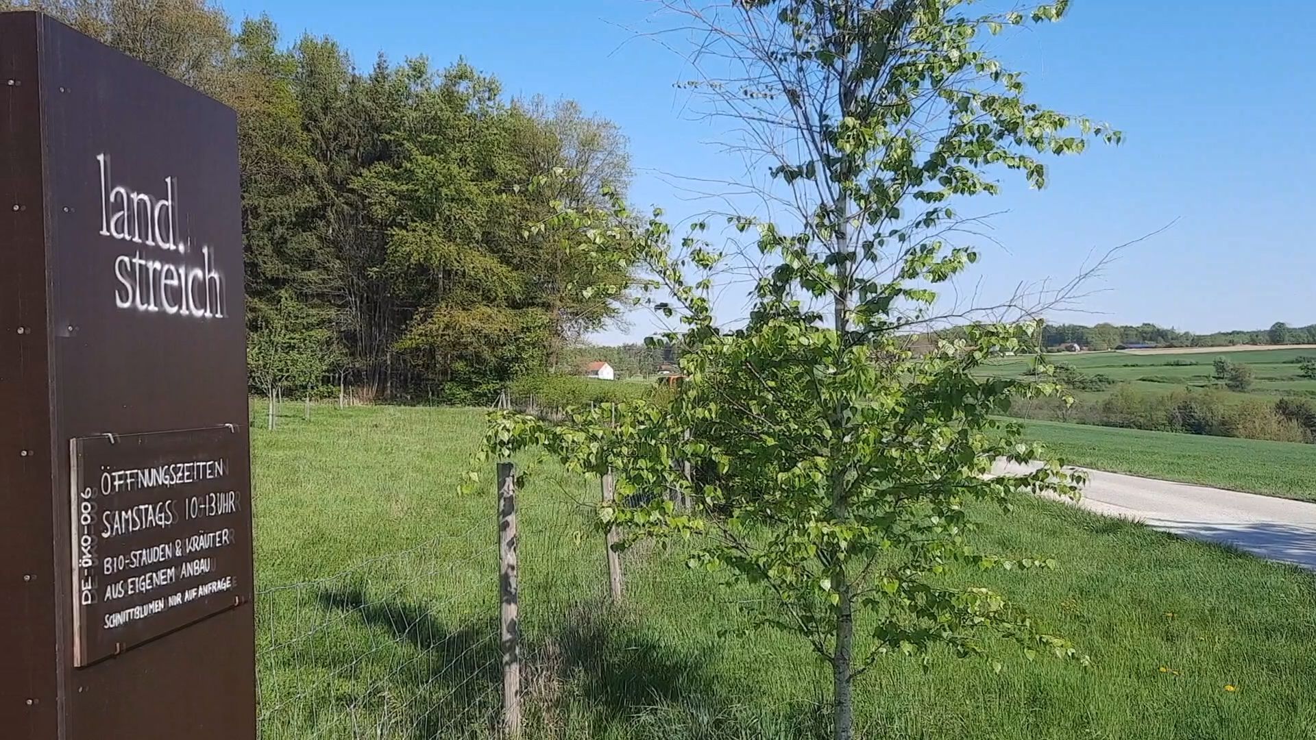 Bei Landstreich dreht sich alles um die Blume
