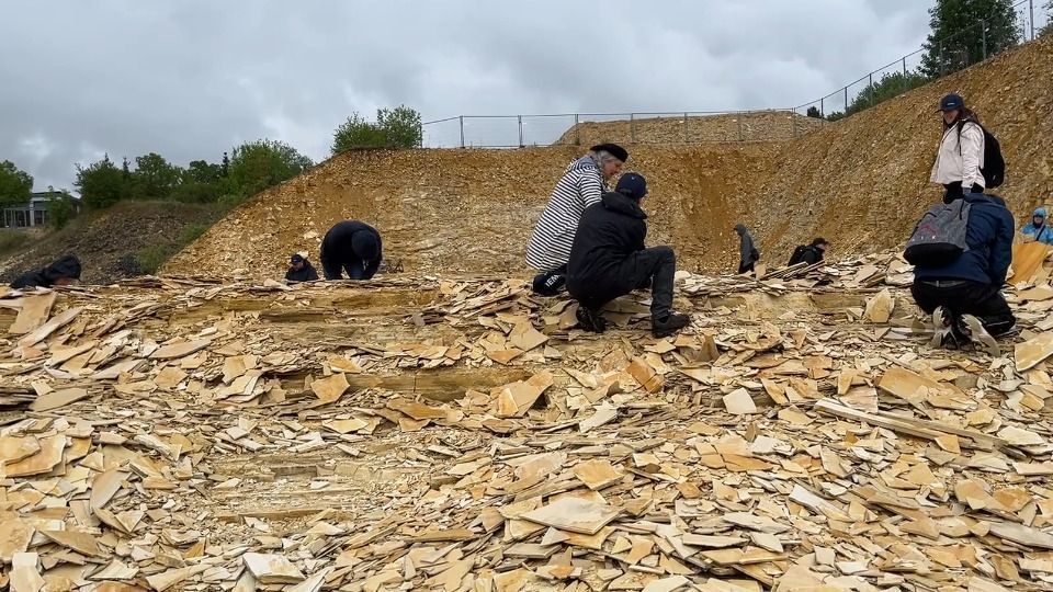 Video: Neuer Pächter im Besuchersteinbruch Blumenberg