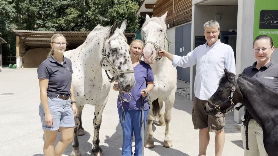 Video: Pferdeklinik Stephansmühle im Landkreis Roth