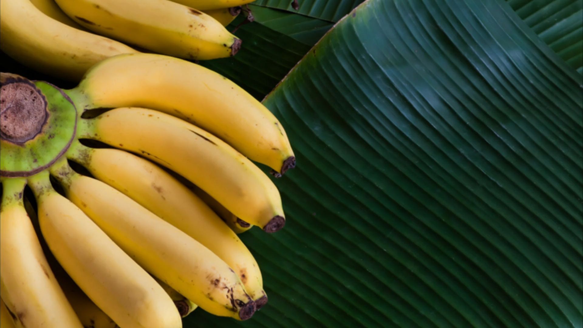 Gut zu wissen: So werden Bananen richtig geschält!
