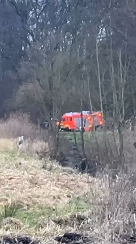 Video: Polizei steckt fest - und Feuerwehr muss im Wald helfen
