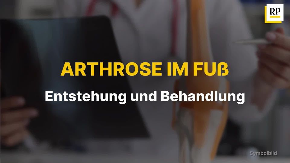 saatgut salat baquieu Baquieu Kopfsalat  Bio-Samen  Heirbloom
