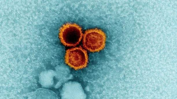 Video: Laut Wissenschaftlern könnte das Epstein-Barr-Virus die Erkrankung Lupus auslösen
