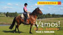 Documentary 1 Year South America - Farm Life - Episode 2 | Marco Polo TV