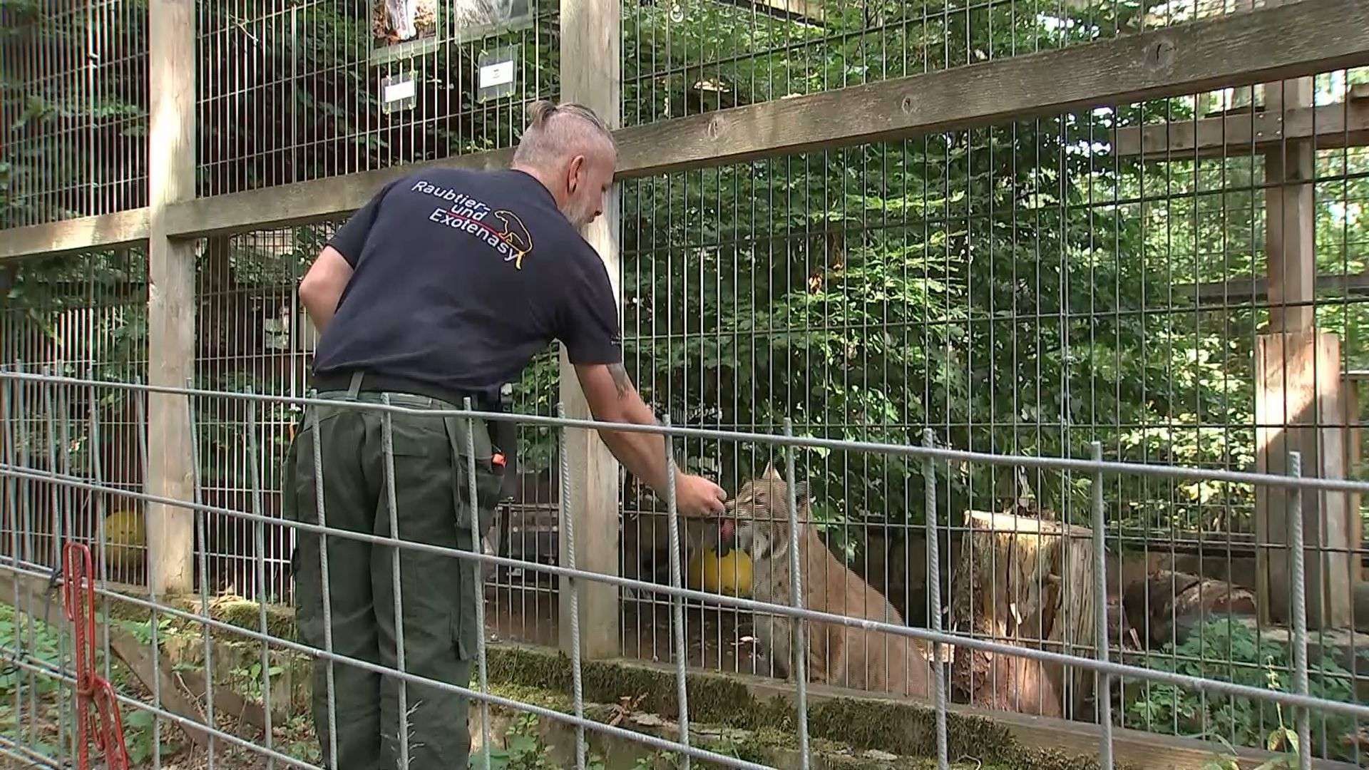 Video: Raubtier- und Exotenasyl in Ansbach: Streit mit Verpächter vor Gericht