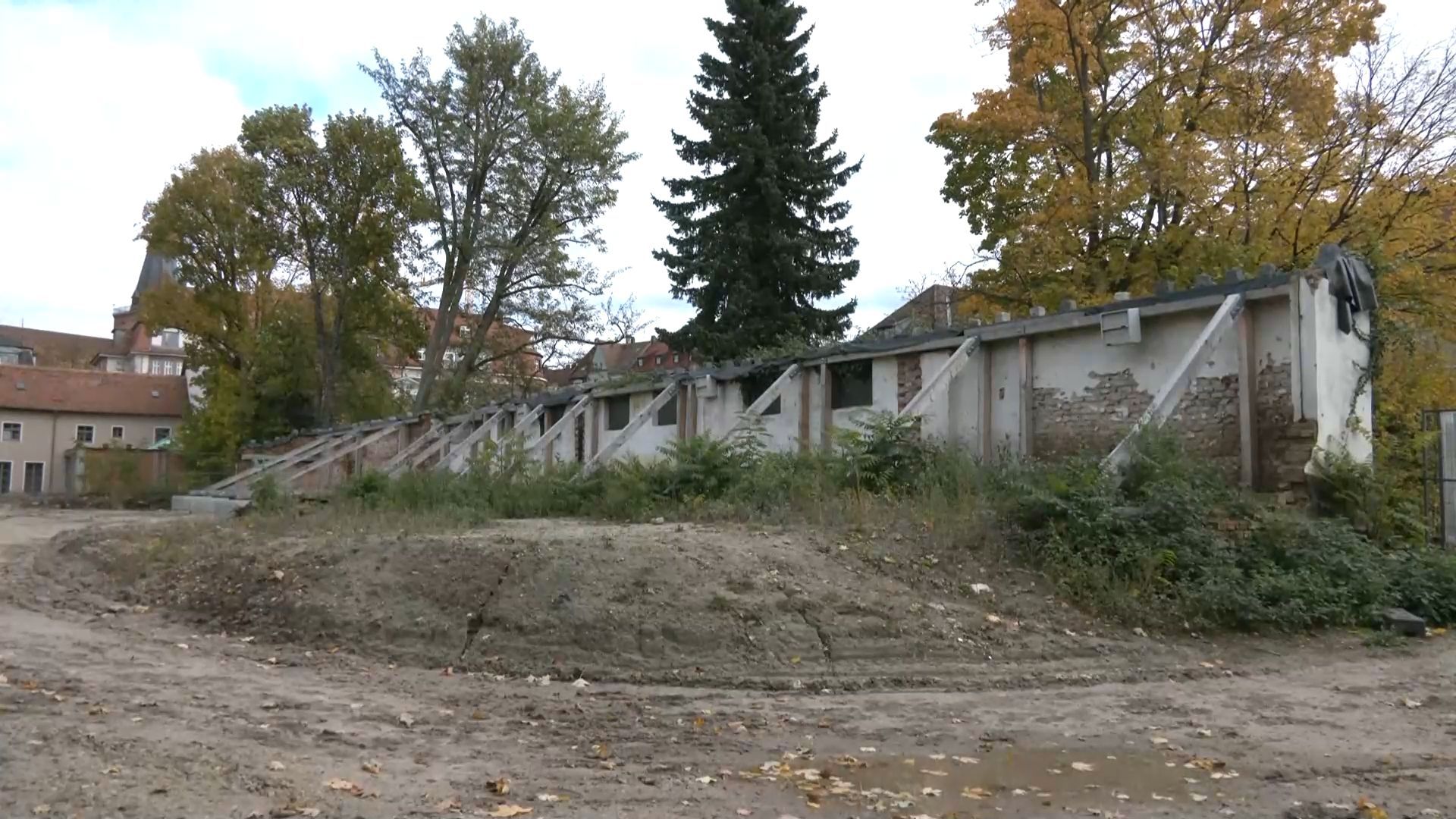 New Hesperides Garden: Industrial wasteland becomes urban nature