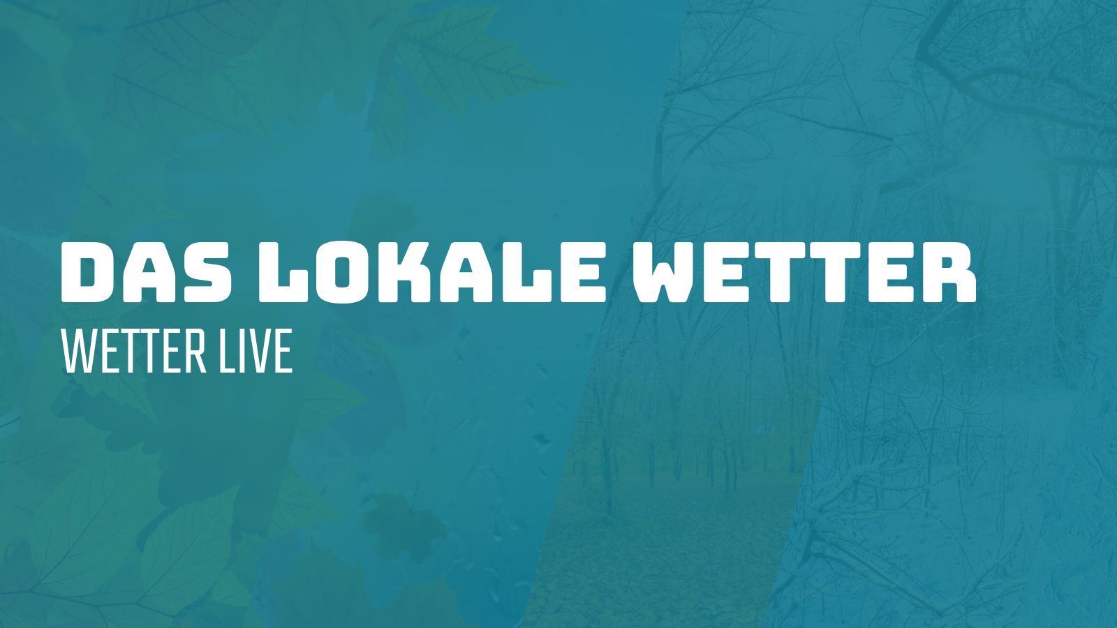 Video: Ihr lokales Live-Wetter