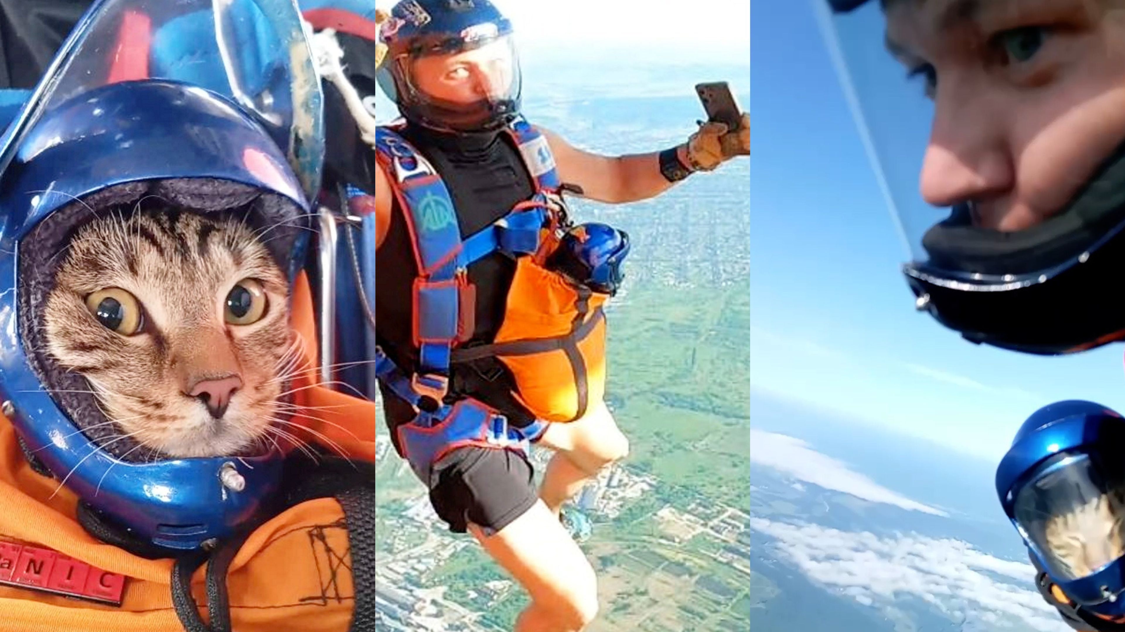 Cat jumps with her owner parachute - with her own helmet