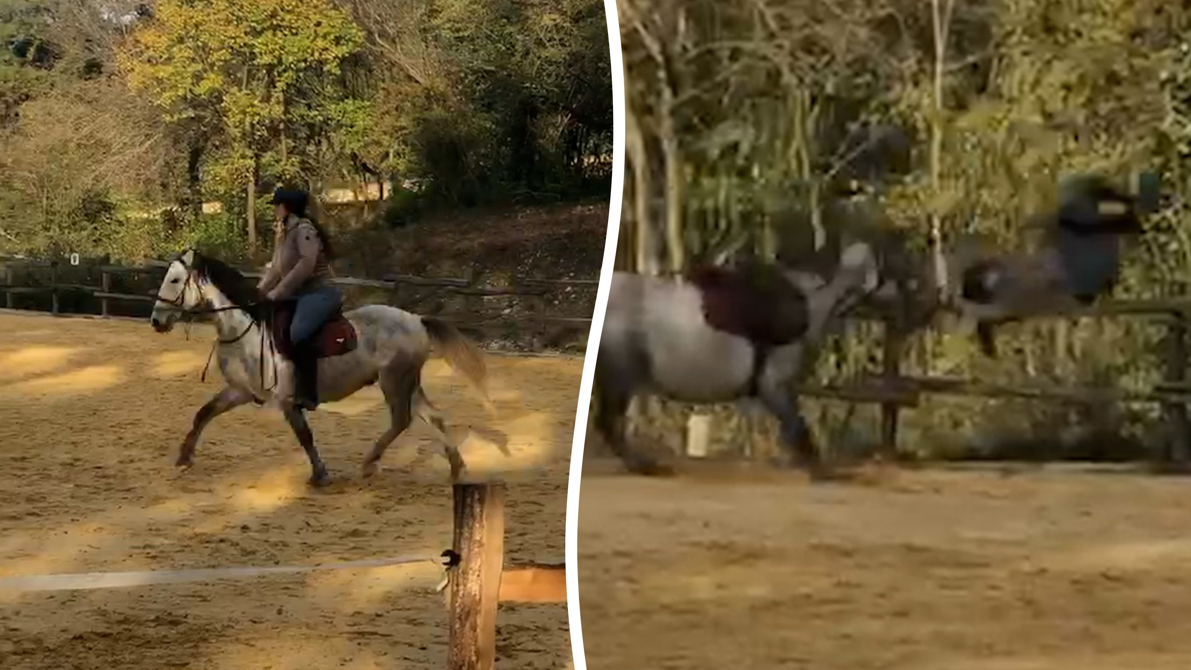 Video: Reiterin bei Sturz vom Pferd katapultiert