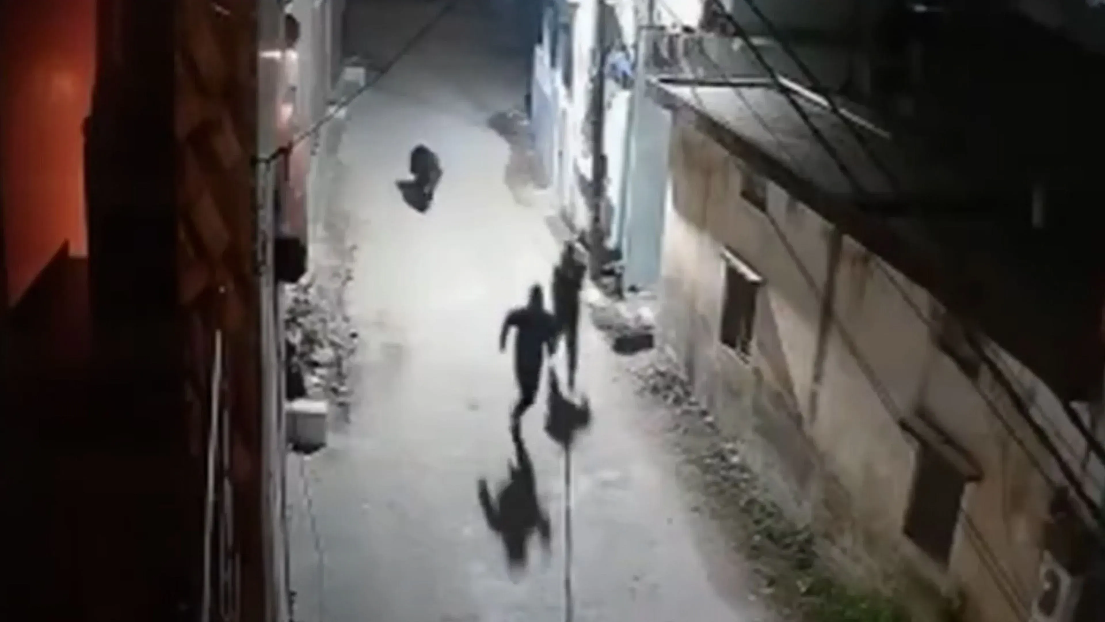 Video: Ein Bär rennt die Straße entlang und versetzt Männer und Vieh in Panik