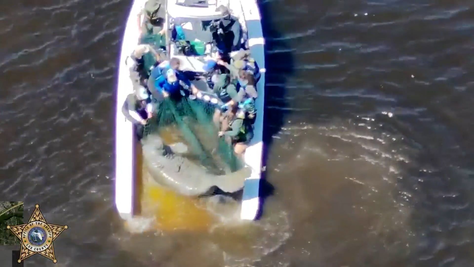 Video: Verletzte Seekuhmutter und Kalb aus dem Oranje-Fluss gerettet