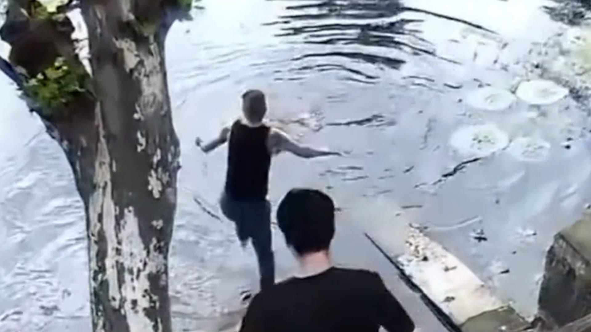 Video: Heldenhafter Sprung in einen Teich, um eine Frau vor dem Ertrinken zu retten