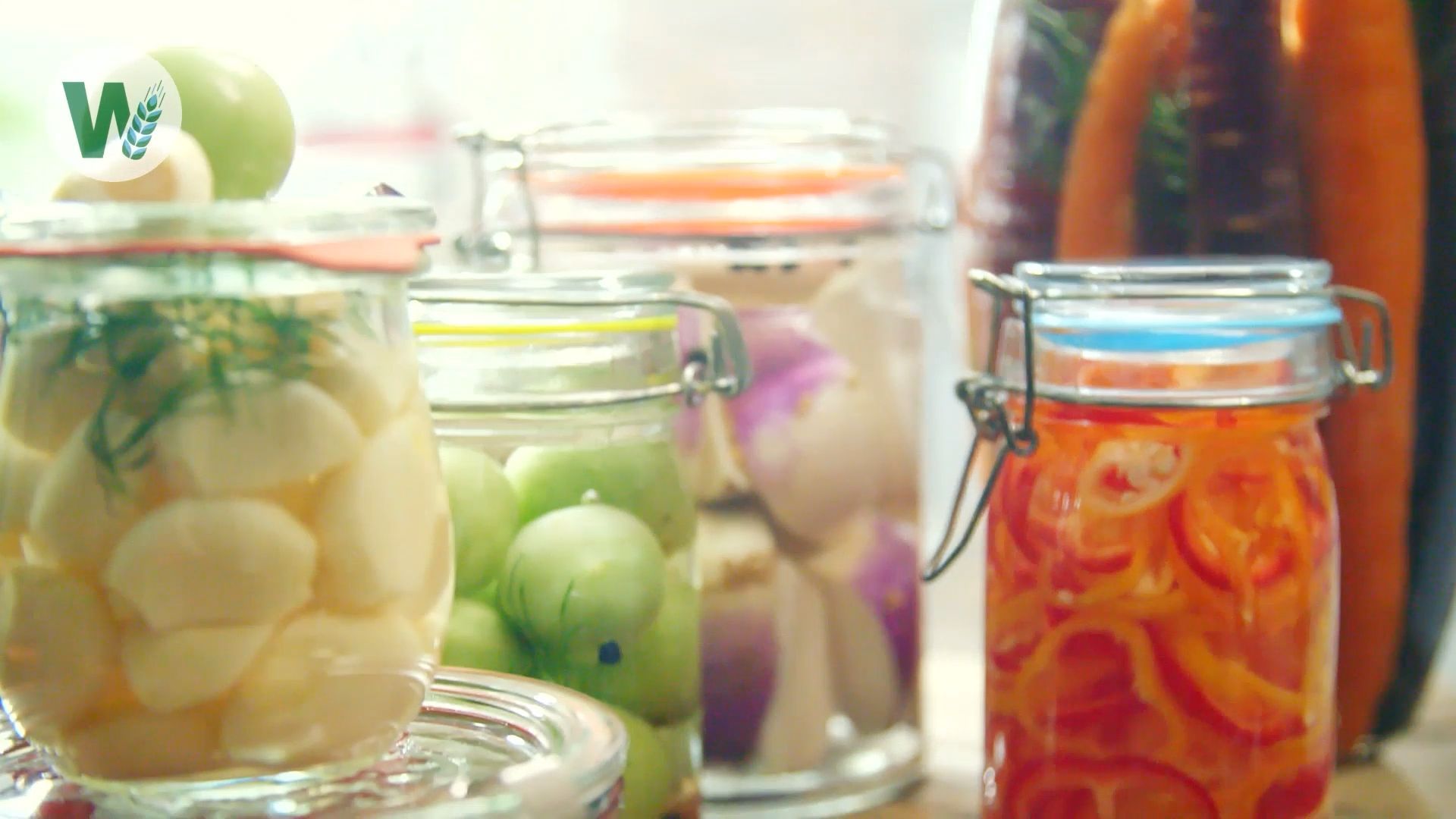 Fermenting: Healthy Bacteria for Vitamins and Flavor