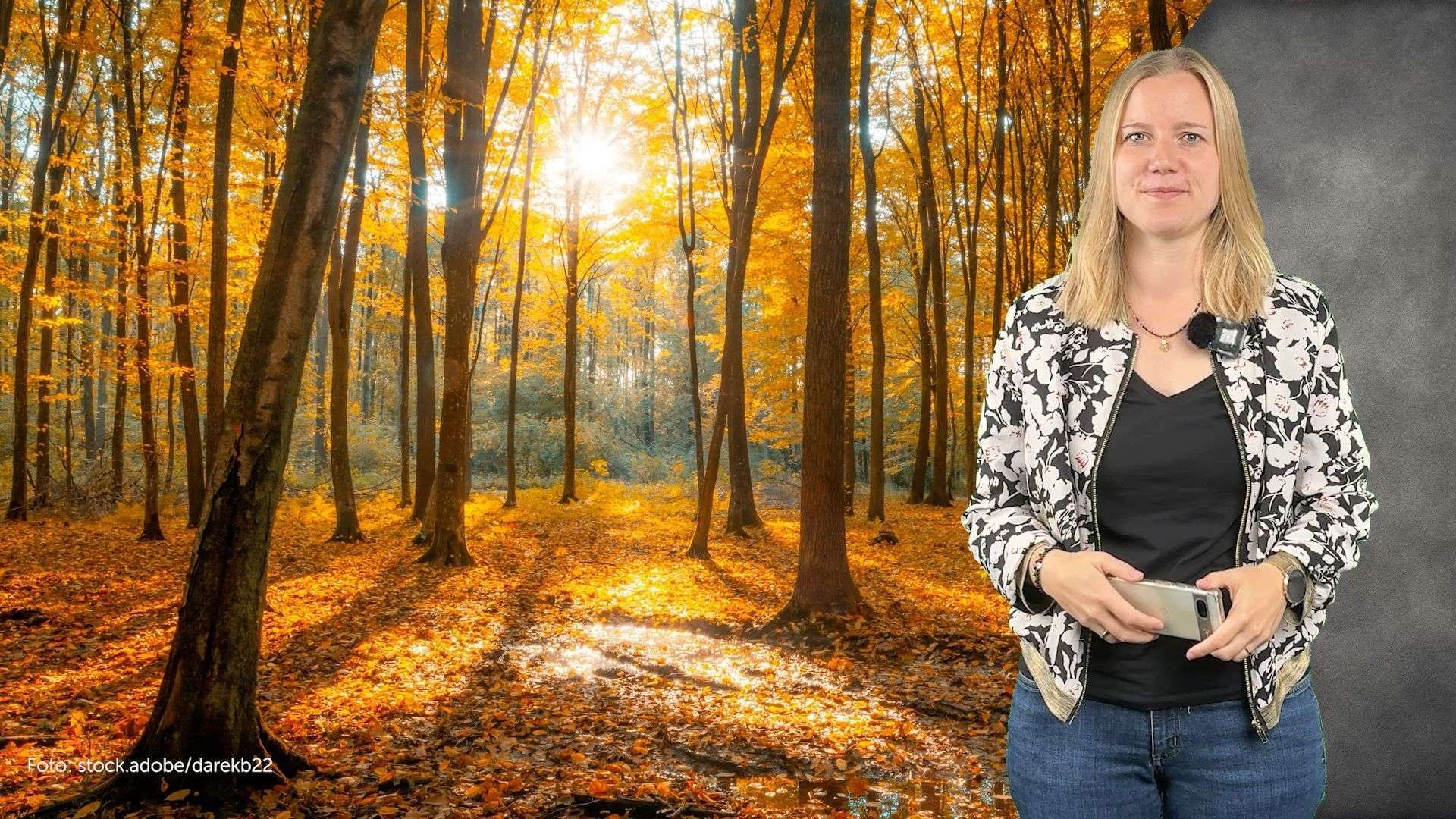 Discover Lower Saxony: Pumpkin Farm Destination