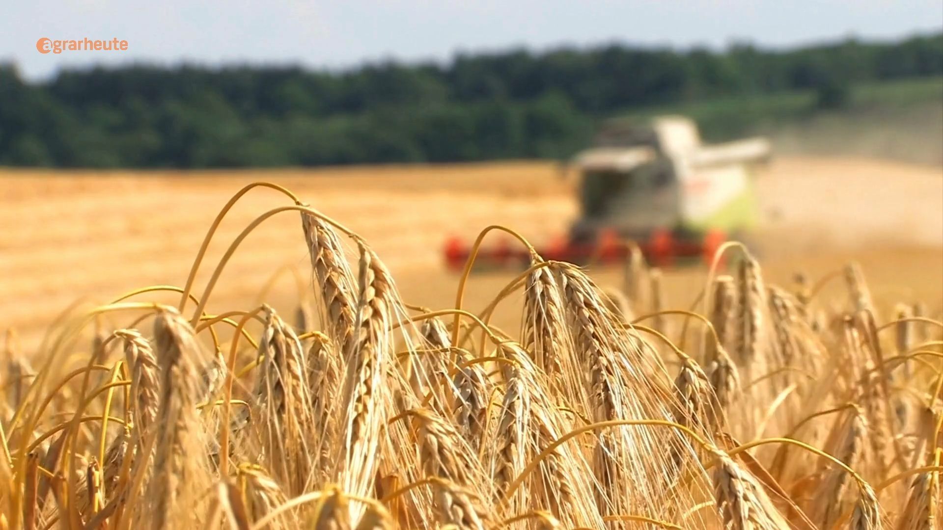 Video: Pflanzenschutz, Klima und Co: Jeder 2. Verbraucher vertraut den Landwirten