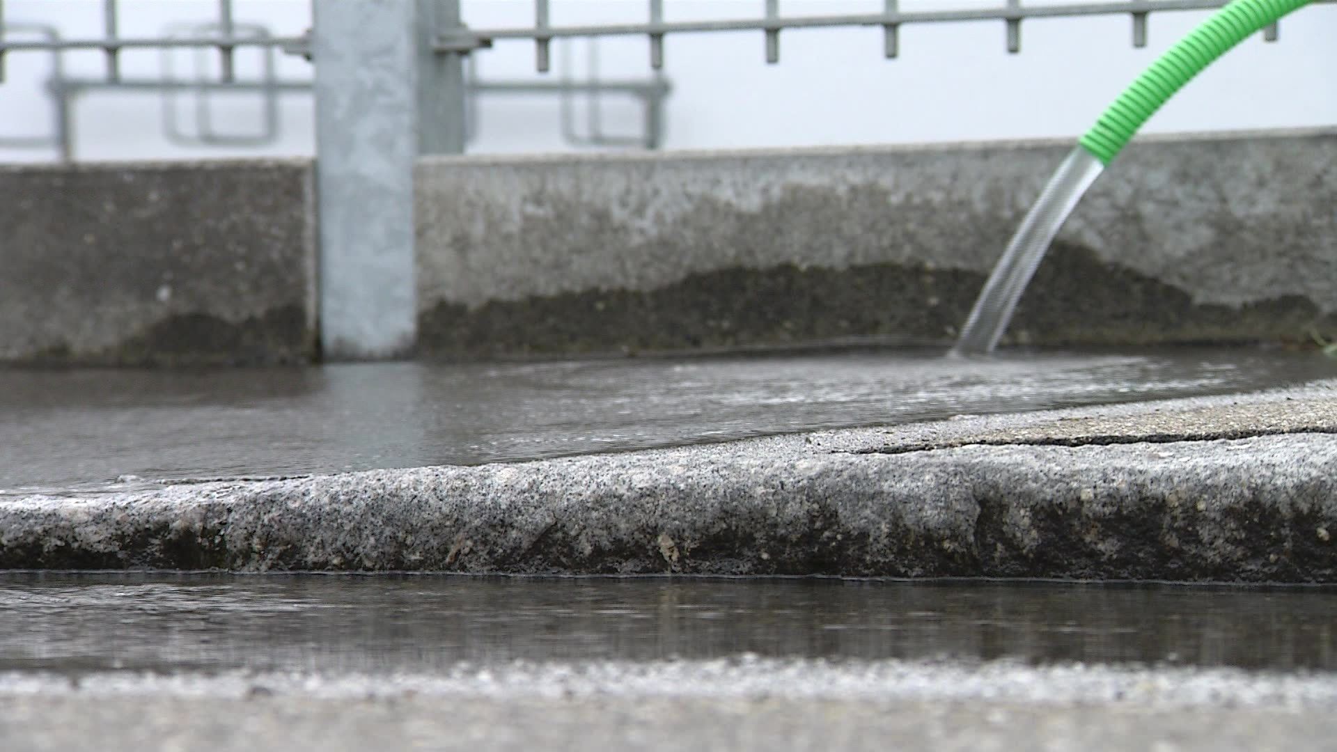 Neuer Höchststand – Grundwasser weiterhin in den Kellern