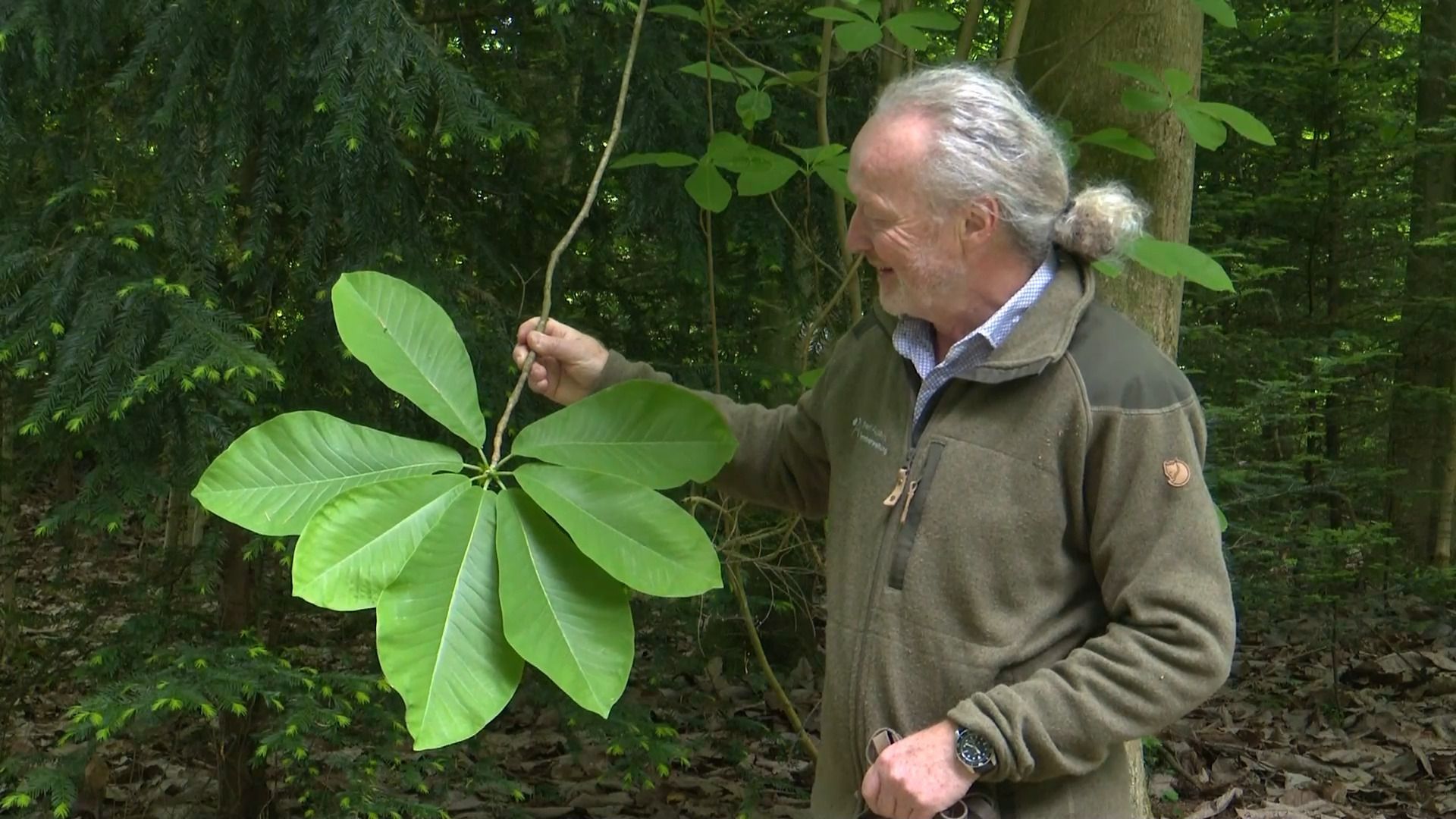 Video: Tour durch den Exotenwald Diedorf