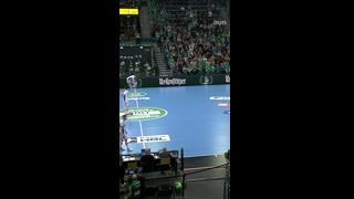 Spiel Highlights zu SC DHfK Leipzig – HSV Hamburg