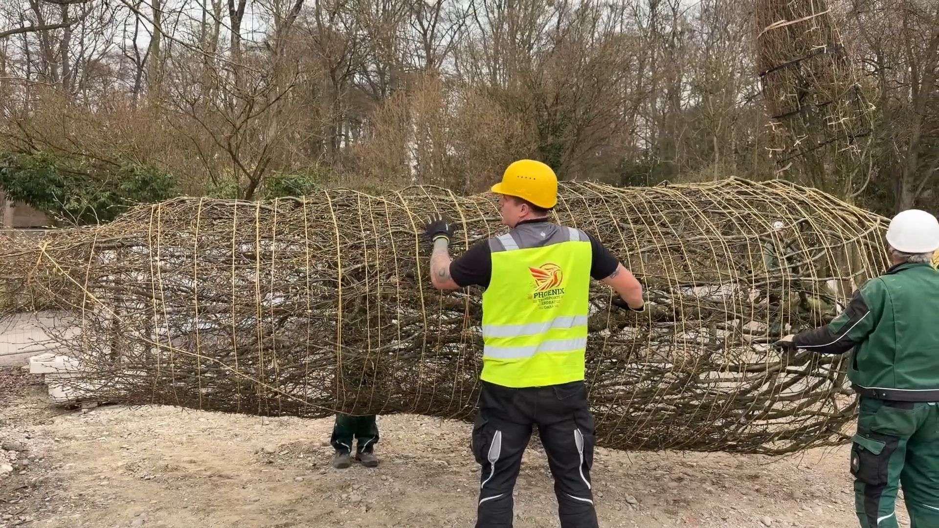 Video: Himalaya-Land im Zoo Augsburg: Bauarbeiten schreiten voran