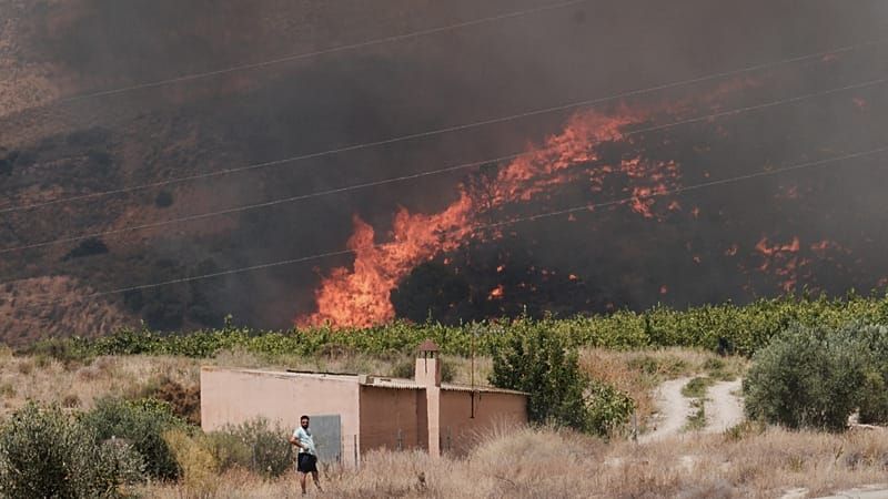 Video: Waldbrände in Spanien: Mehrheit der Todesopfer wohl Ausländer