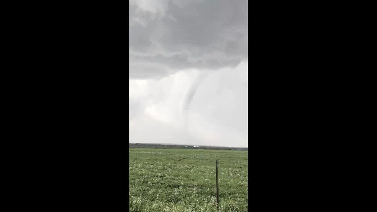 Video: US: Tornado setzt nahe weidender Rinder an der Grenze Texas–Oklahoma auf