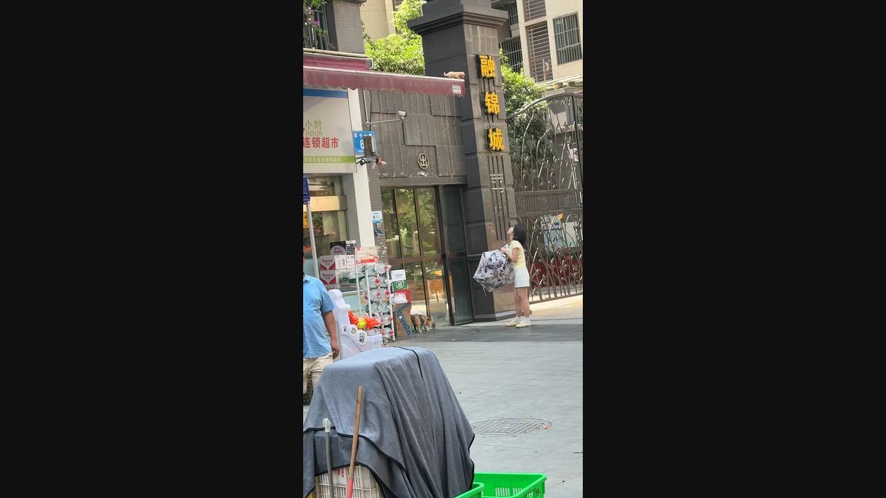 Video: China: Welpe gerettet, nachdem er in Sichuan aus einem oberen Stockwerk eines Wohngebäudes gefallen war